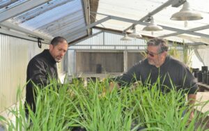 Lee más sobre el artículo Diseñan un sistema de bajo costo para la producción combinada de peces y vegetales<p class = "resumen">El sistema se conoce como acuaponía. Los y las científicas lo pensaron para ser utilizado por familias, comedores u organizaciones sociales.</p>