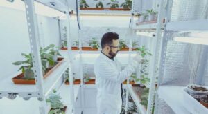 Lee más sobre el artículo Abrió la inscripción para participar de la Jornada de I+D sobre Micropropagación de cultivos estratégicos<p class = "resumen">Se trata del tercer encuentro de las 1ras Jornadas de I+D Bonaerenses y se desarrollará el viernes 28 de octubre en la Chacra Experimental de Mercedes</p>