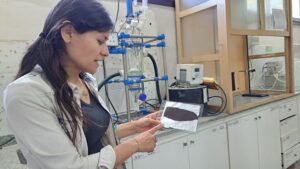 Lee más sobre el artículo Buscan mejorar el almacenamiento de energía en baterías de litio <p class = "resumen">El proyecto, financiado por la CIC, investiga las potencialidades de materiales no contaminantes para la producción de baterías. Avances en materia de transición energética</p>