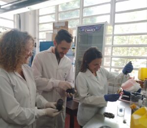 Lee más sobre el artículo Estudian el uso de residuos agrícolas para generar energía renovable<p class = "resumen">Un equipo de investigación de la Universidad Nacional de Mar del Plata indaga sobre la capacidad de producir biocarbón a partir de deshechos agrícolas previamente utilizados en el tratamiento de efluentes con hidrocarburos.</p>