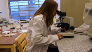 Lee más sobre el artículo Crean pinturas especiales para proteger ambientes de la contaminación microbiana<p class = "resumen">Un equipo de investigación bonaerense estudia la elaboración de recubrimientos cargados con productos naturales que tienen acción antimicrobiana. Pueden ser útiles para establecimientos que necesiten altos estándares de seguridad, como hospitales, clínicas o la industria alimenticia.</p>