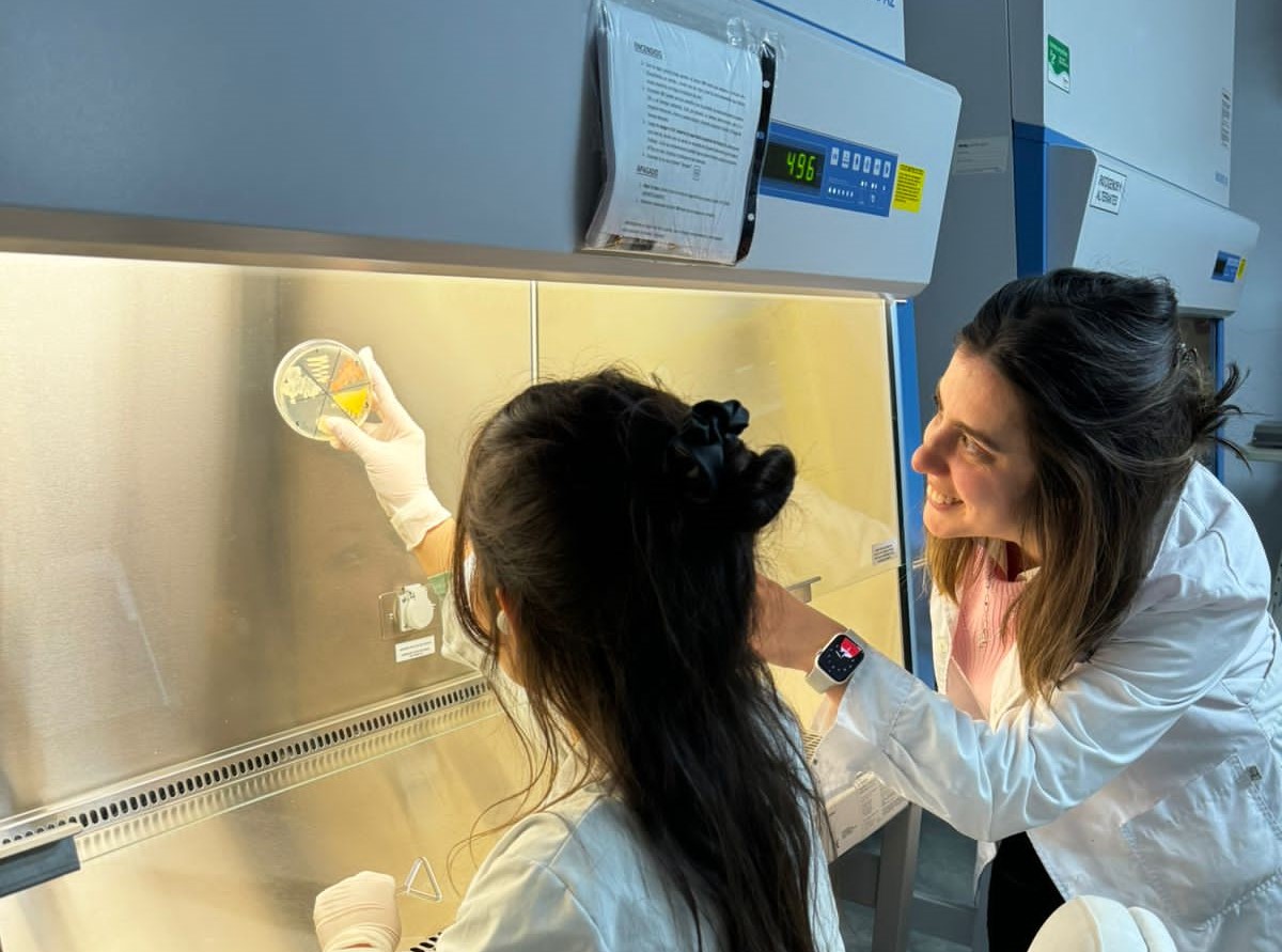 Lee más sobre el artículo Bacterias al ataque: un cóctel natural para remediar suelos contaminados