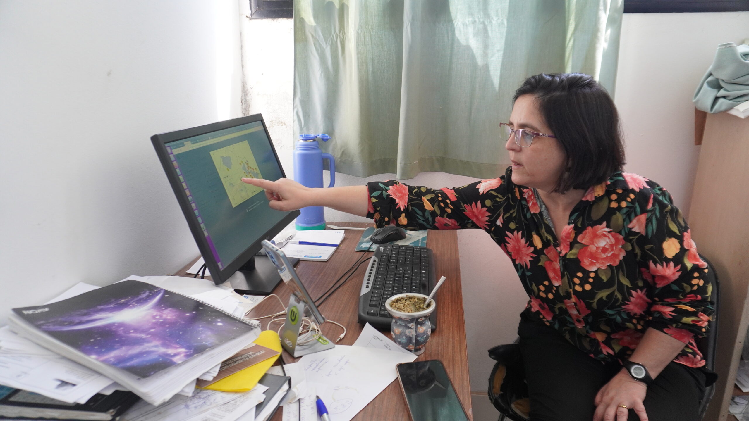 Lee más sobre el artículo Dengue: se expande la resistencia de los mosquitos a los insecticidas