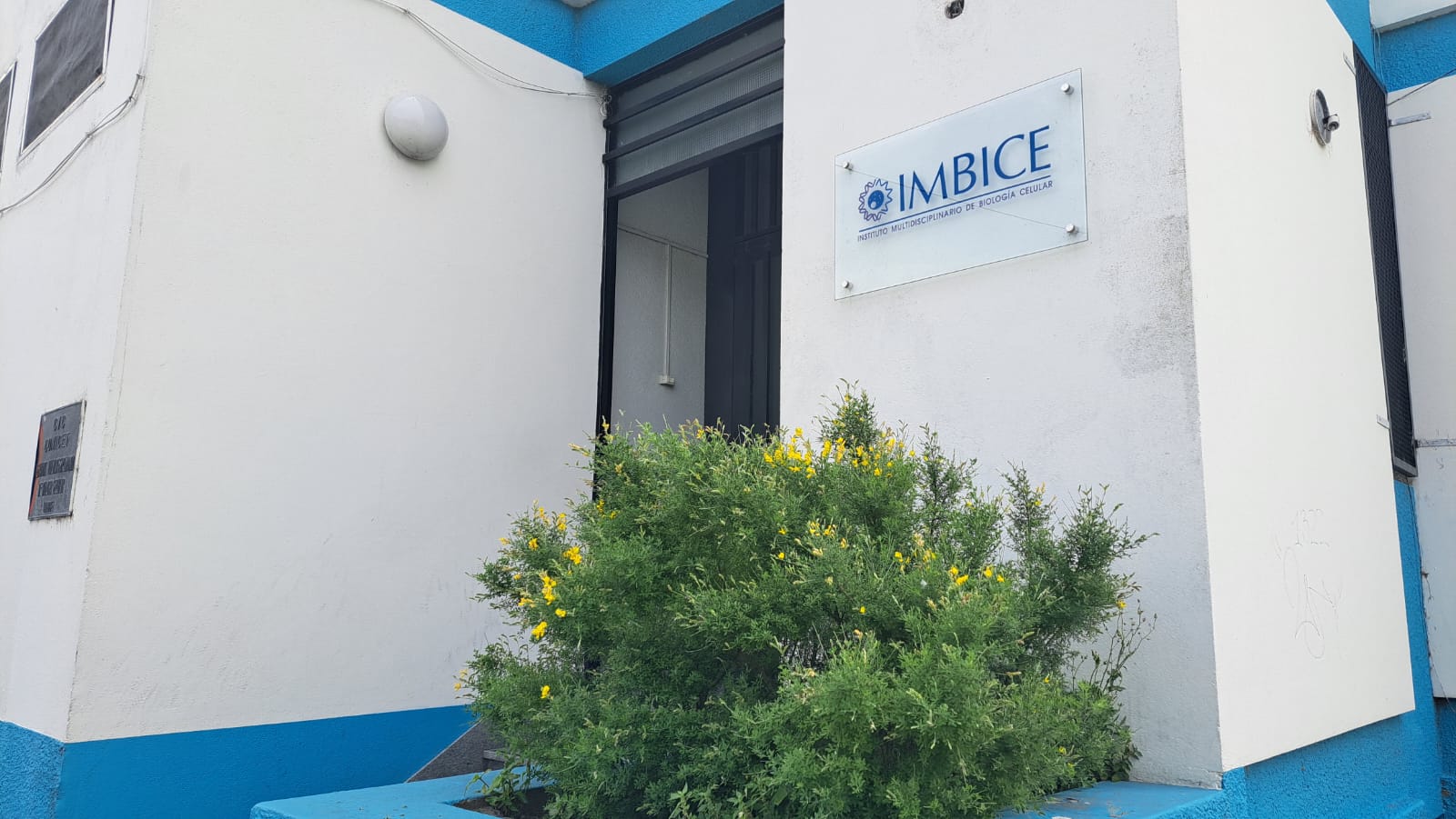 Lee más sobre el artículo El IMBICE celebra sus 50 años de excelencia científica