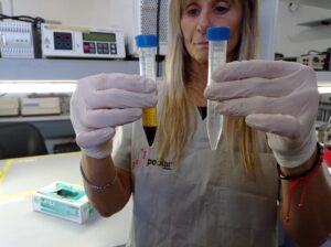 Lee más sobre el artículo PoblAr: hacia un biobanco estratégico para la investigación en salud<p class = "resumen">Profesionales de distintos puntos del país desarrollan el primer repositorio de genomas y datos asociados de la Argentina. En 2025 esta iniciativa vuelve a tomar impulso con el apoyo de universidades y organismos científicos como la CIC.</p>