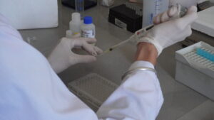 Lee más sobre el artículo Encuentro Bonaerense de Ciencia y Universidad: el conocimiento como motor del desarrollo<p class = "resumen">El 25 de julio en la Universidad Nacional de Quilmes un evento reunirá a especialistas del sistema científico-tecnológico junto a autoridades provinciales para debatir sobre los desafíos del sector</p>