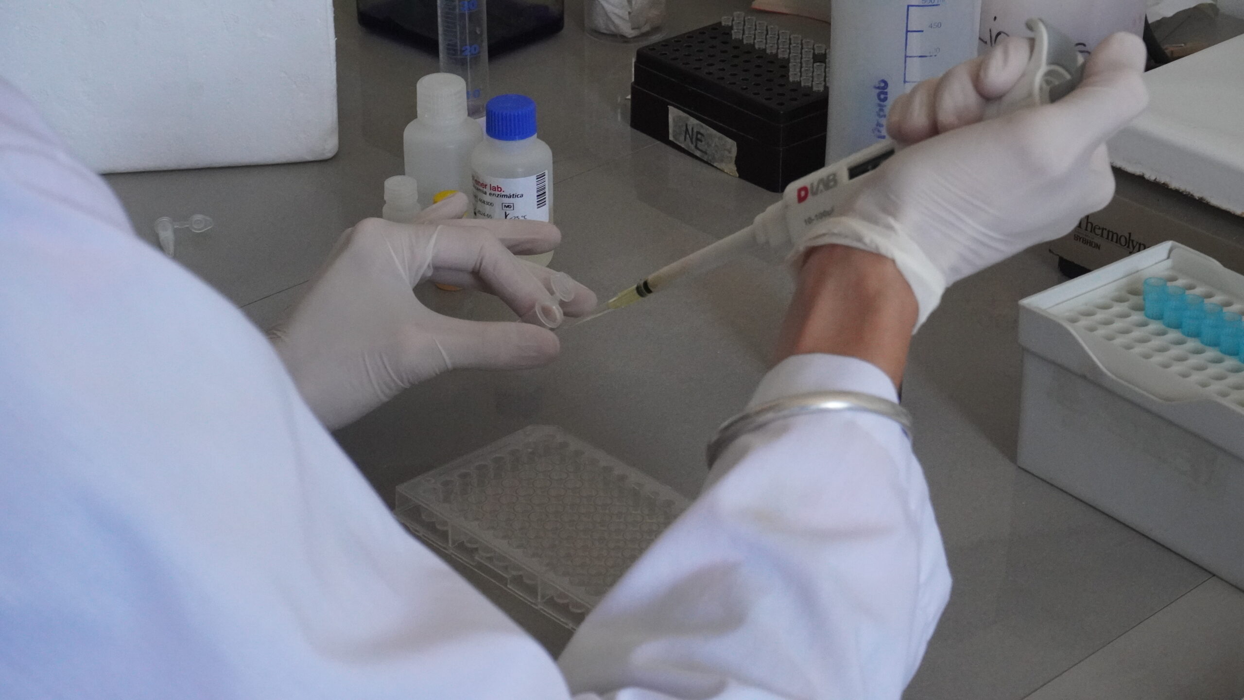 Lee más sobre el artículo Encuentro Bonaerense de Ciencia y Universidad: el conocimiento como motor del desarrollo