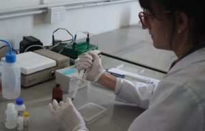 Lee más sobre el artículo Sobrepeso en infancias: investigan novedoso método de detección de alteración metabólica<p class = "resumen">Un proyecto del centro IMBICE trabaja en el análisis de la leptina, una hormona encargada de la regulación del apetito en población infanto juvenil con sobrepeso u obesidad del Hospital de Niños de La Plata. </p>