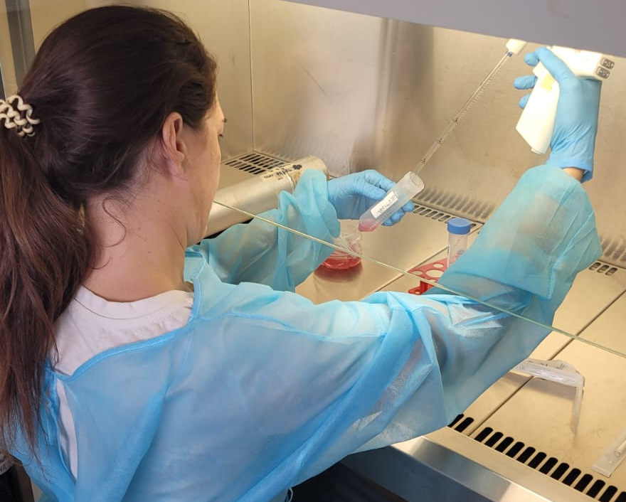 la leptina es una hormona que regula el apetito, el peso y otros aspectos del metabolismo. Su análisis permitiría la detección temprana del mal funcionamiento del Tejido Adiposo y serviría como predictor de patologías más severas relacionadas al sobrepeso.