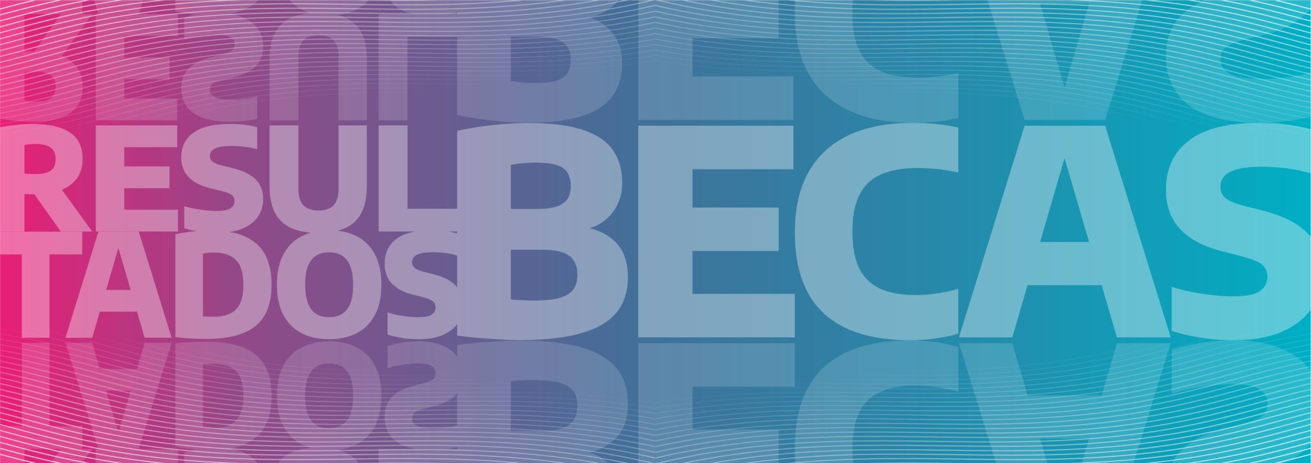 Lee más sobre el artículo La CIC adjudicó nuevas becas doctorales